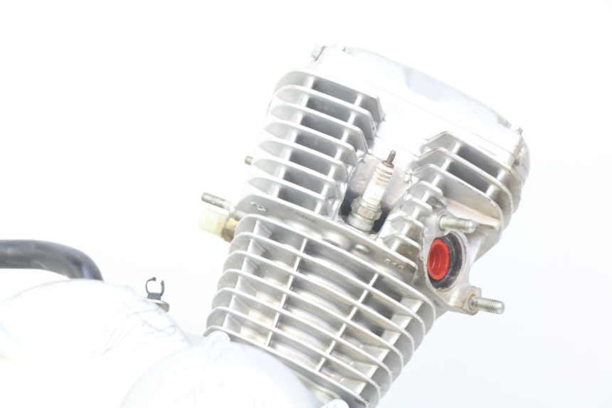 photo de MOTOR HONDA CRF CR-F 125 (2022 - 2023) - Charakteristische Merkmale