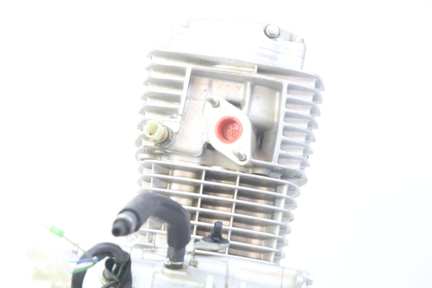 photo de MOTOR HONDA CRF CR-F 125 (2022 - 2023) - Hochauflösende Nahaufnahme