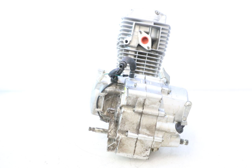photo de MOTOR HONDA CRF CR-F 125 (2020 - 2021) - Fokus auf die Struktur