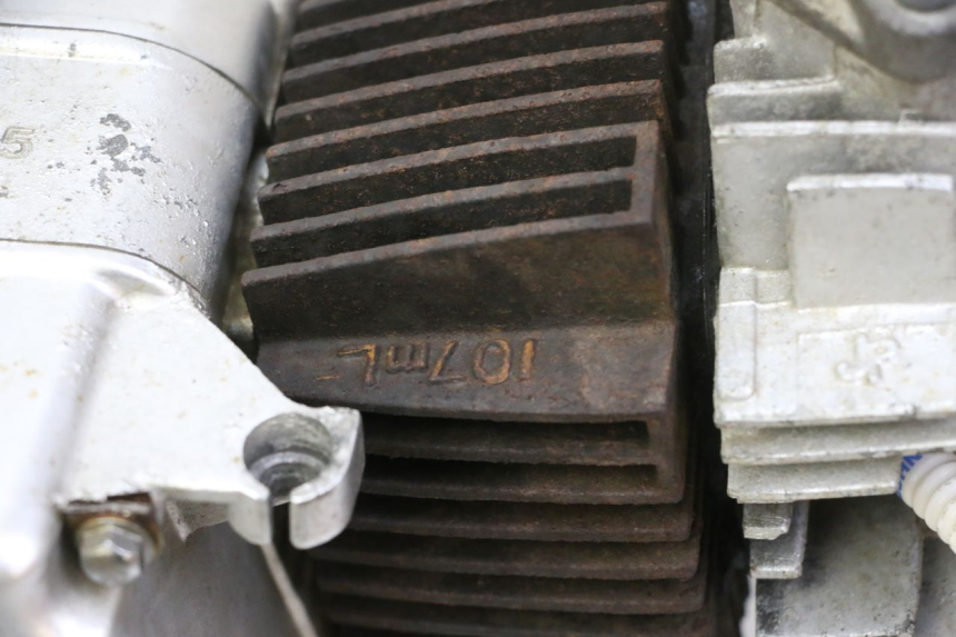 photo de MOTOR SKYTEAM DAX REPLICA 110 (2005 - 2015) - Zoom auf Gebrauchszustand