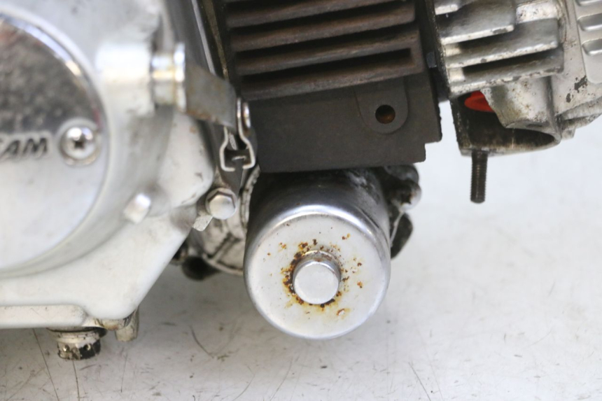 photo de MOTOR SKYTEAM DAX REPLICA 110 (2005 - 2015) - Technische Nahaufnahme