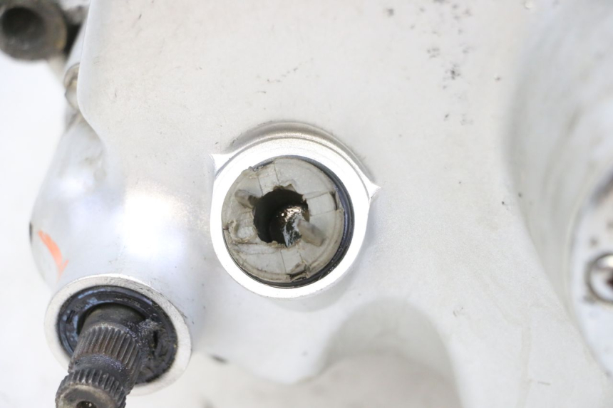 photo de MOTOR SKYTEAM DAX REPLICA 110 (2005 - 2015) - Oberflächenzustand und Material