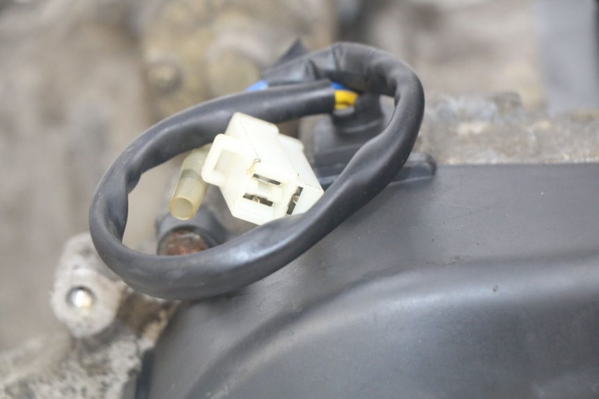 photo de MOTOR PEUGEOT DJANGO 4T 50 (2014 - 2019) - Geprüftes Gebrauchtteil