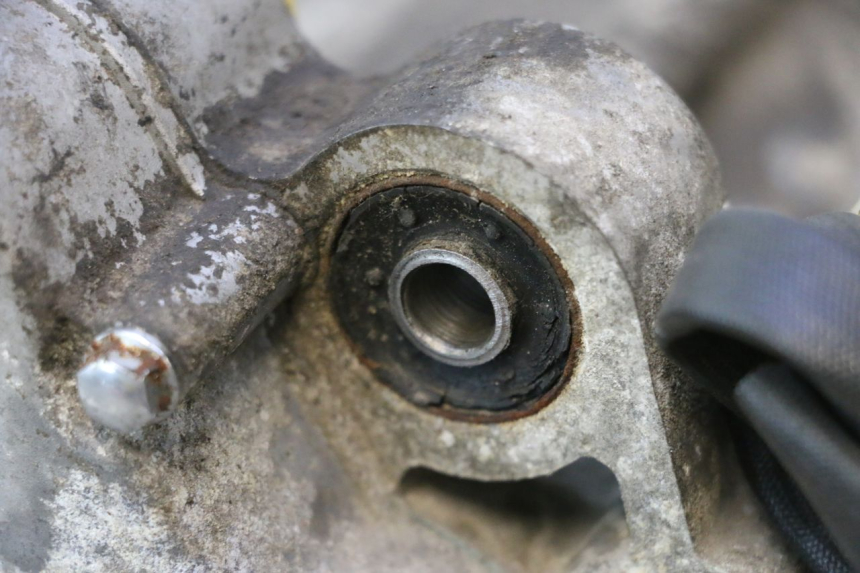 photo de MOTOR CF MOTO E-CHARM 125 (2005 - 2008) - Weitere Ansicht des Artikels