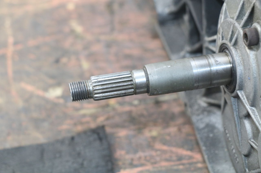 photo de MOTOR PEUGEOT ELYSTAR 125 (2002 - 2007) - Hochauflösende Nahaufnahme