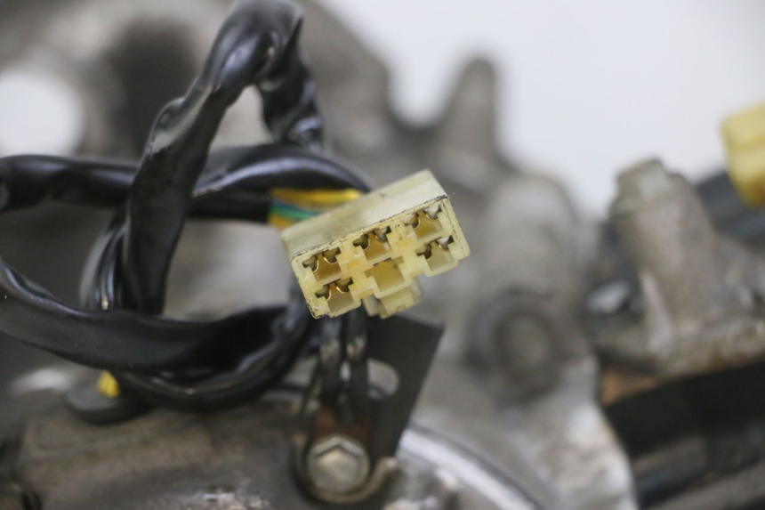 photo de MOTOR PEUGEOT ELYSTAR 125 (2002 - 2007) - Fokus auf die Struktur