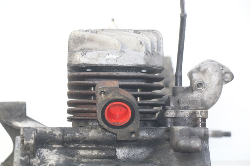 photo de MOTOR PEUGEOT ELYSTAR 50 (2002 - 2014) - Weitere Ansicht des Artikels