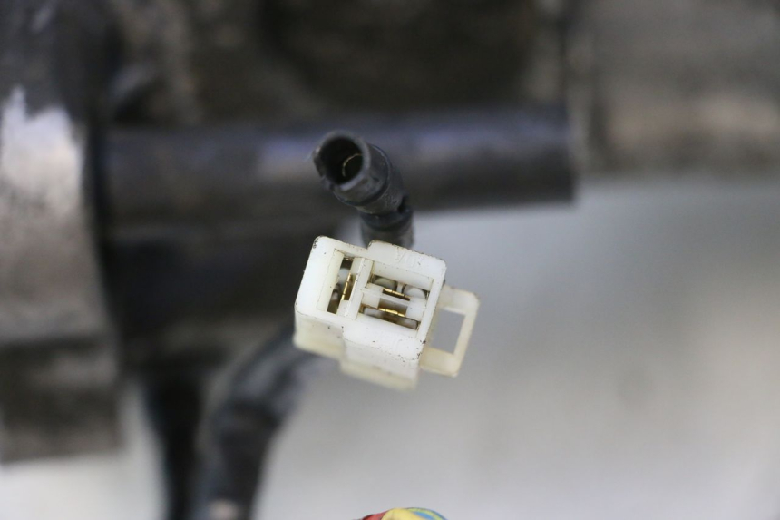 photo de MOTOR PEUGEOT ELYSTAR 50 (2002 - 2014) - Alternativer Blickwinkel