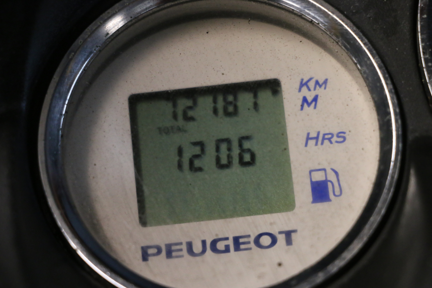 photo de MOTOR PEUGEOT ELYSTAR 50 (2002 - 2014) - Zoom auf Gebrauchszustand