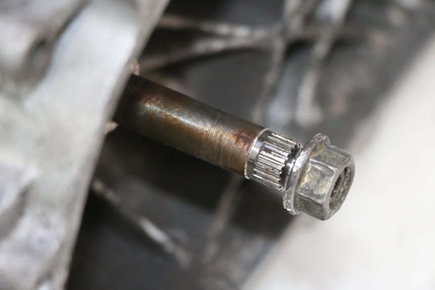 photo de MOTOR PEUGEOT ELYSTAR 50 (2002 - 2014) - Zoom auf Gebrauchszustand