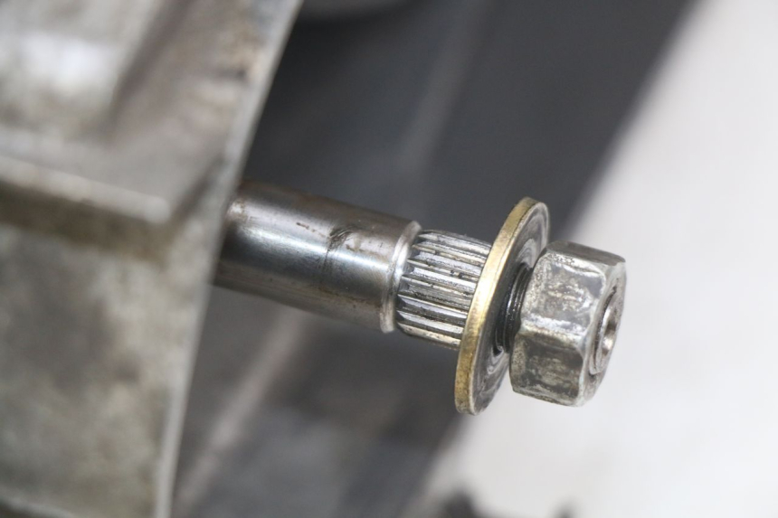 photo de MOTOR HONDA FES PANTHEON 125 (2003 - 2007) - Hochauflösende Nahaufnahme