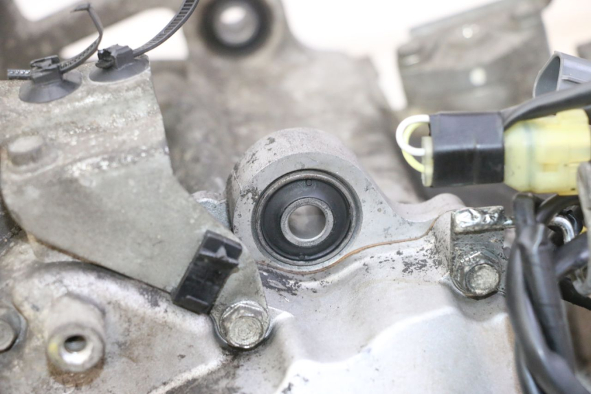 photo de MOTOR HONDA FES S-WING SWING ABS 125 (2007 - 2015) - Geprüftes Gebrauchtteil