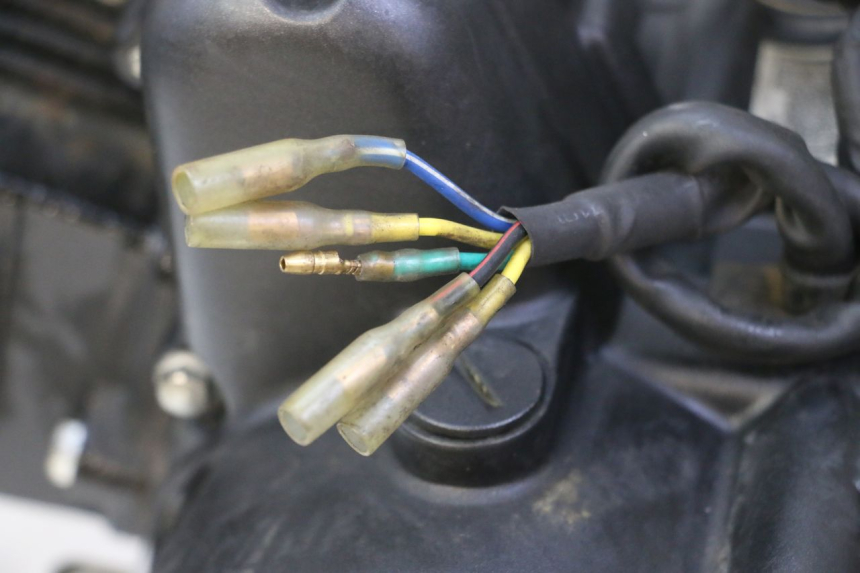 photo de MOTOR STAHO FH 50 (2018 - 2019) - Charakteristische Merkmale