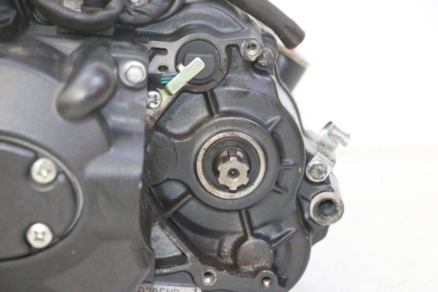 photo de MOTOR STAHO FH 50 (2018 - 2019) - Hochauflösende Nahaufnahme