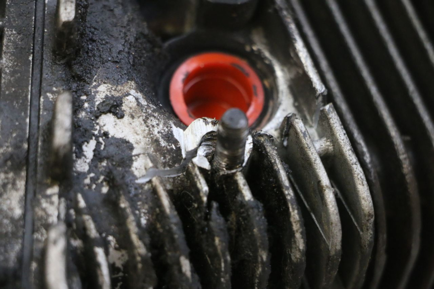 photo de MOTOR PIAGGIO FLY 4T 50 (2013 - 2017) - Zoom auf Gebrauchszustand