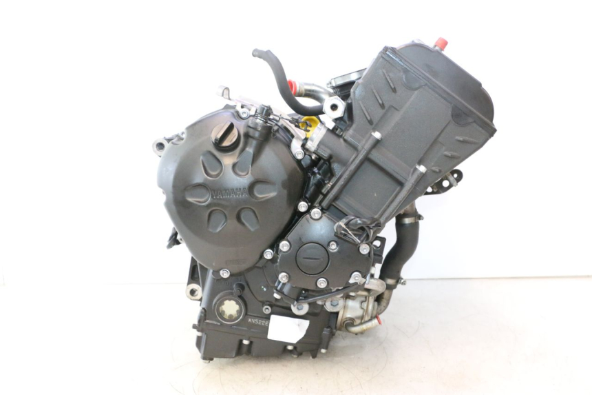 photo de MOTOR YAMAHA FZ8 800 (2010 - 2016) - Charakteristische Merkmale