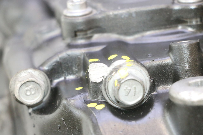photo de MOTOR YAMAHA FZ8 800 (2010 - 2016) - Oberflächenzustand und Material