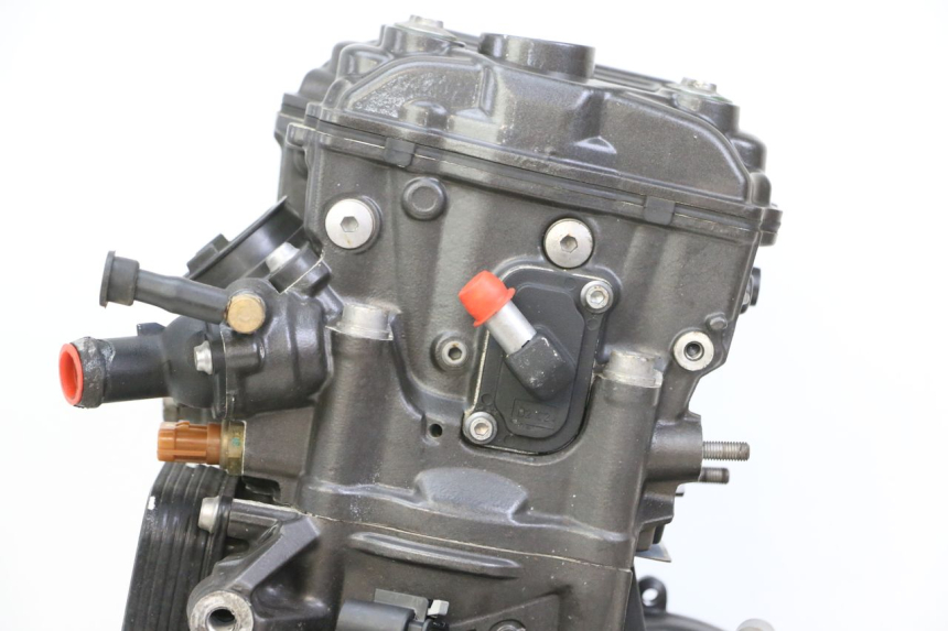 photo de MOTOR BMW G310 R 310 (2016 - 2020) - Charakteristische Merkmale