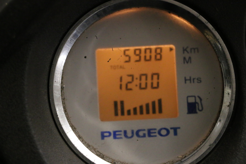 photo de MOTOR PEUGEOT GEOPOLIS RS 125 (2007 - 2009) - Profilansicht des Ersatzteils