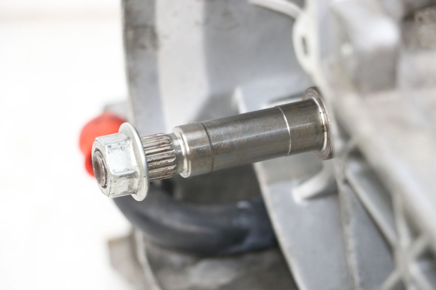 photo de MOTOR PEUGEOT GEOPOLIS RS 125 (2007 - 2009) - Technische Nahaufnahme