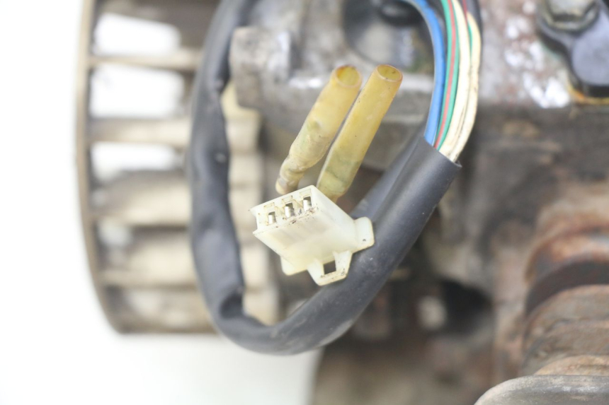 photo de MOTOR TNT MOTOR GRIDO 2T 50 (2010 - 2019) - Zoom auf Komponenten