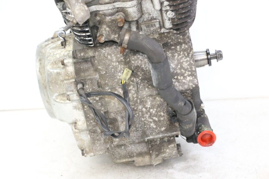 photo de MOTOR HONDA VT C2 SHADOW 750 (1997 - 2001) - Detailansicht des Bauteils