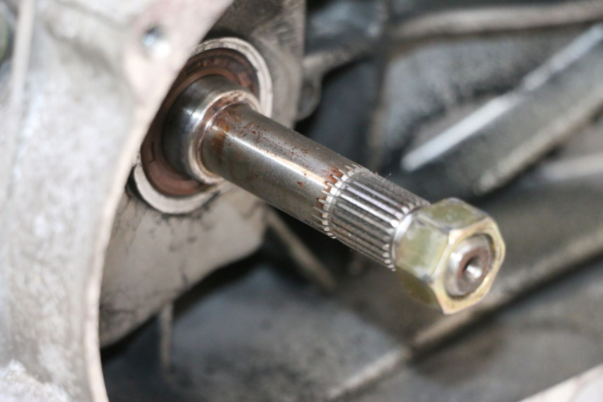 photo de MOTOR PEUGEOT KISBEE 4T 50 (2010 - 2017) - Detaillierte Sichtprüfung