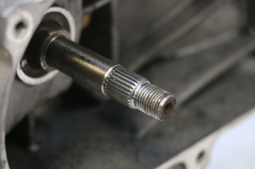 photo de MOTOR PEUGEOT KISBEE 4T 50 (2023 - 2026) - Alternative Perspektive