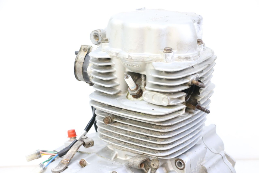 photo de MOTOR KYMCO STRYKER OFF ROAD 125 (1999 - 2005) - Fokus auf die Struktur