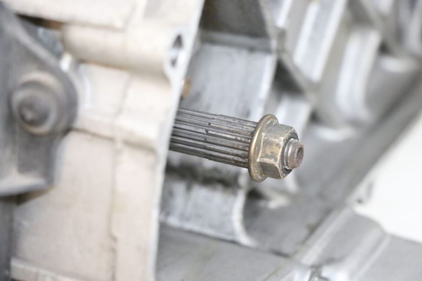 photo de MOTOR PIAGGIO LIBERTY 4T 50 (2018 - 2021) - Charakteristische Merkmale