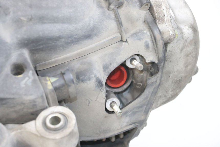 photo de MOTOR PIAGGIO LIBERTY 4T 50 (2018 - 2021) - Zoom auf Gebrauchszustand