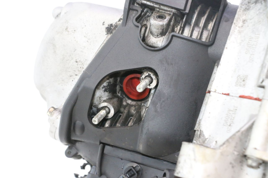 photo de MOTOR PIAGGIO LIBERTY IGET 4T 50 (2021 - 2025) - Alternativer Blickwinkel
