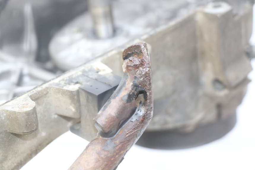 photo de MOTOR PEUGEOT LUDIX 50 (2005 - 2007) - Zoom auf Gebrauchszustand