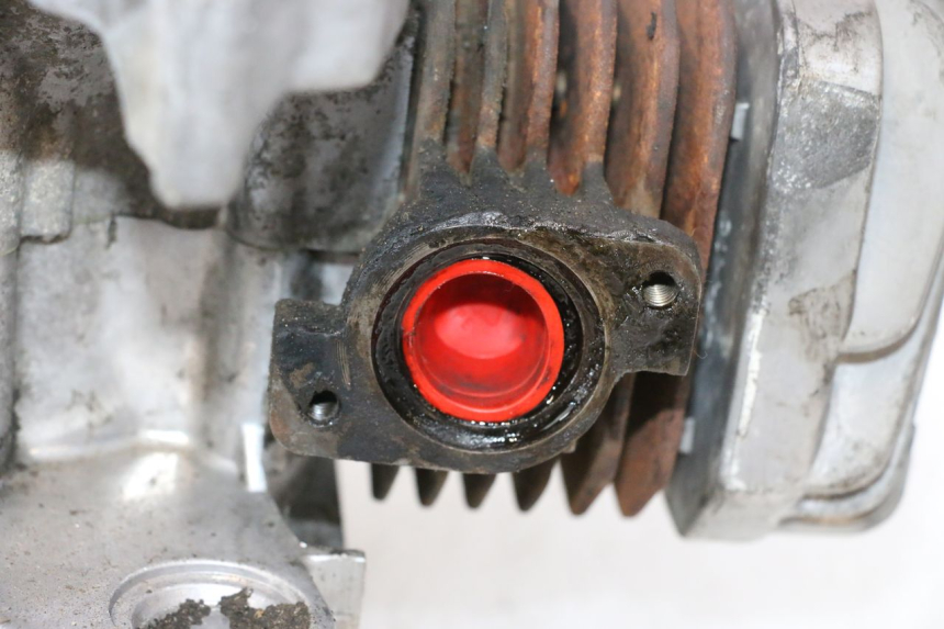 photo de MOTOR PEUGEOT LUDIX PRO 2T 50 (2010 - 2017) - Oberflächenzustand und Material