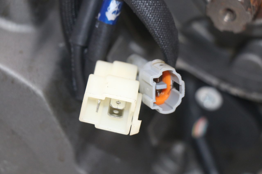 photo de MOTOR MASAI SCRAMBLER SPORT 125 (2021 - 2025) - Gesamtansicht des Produkts