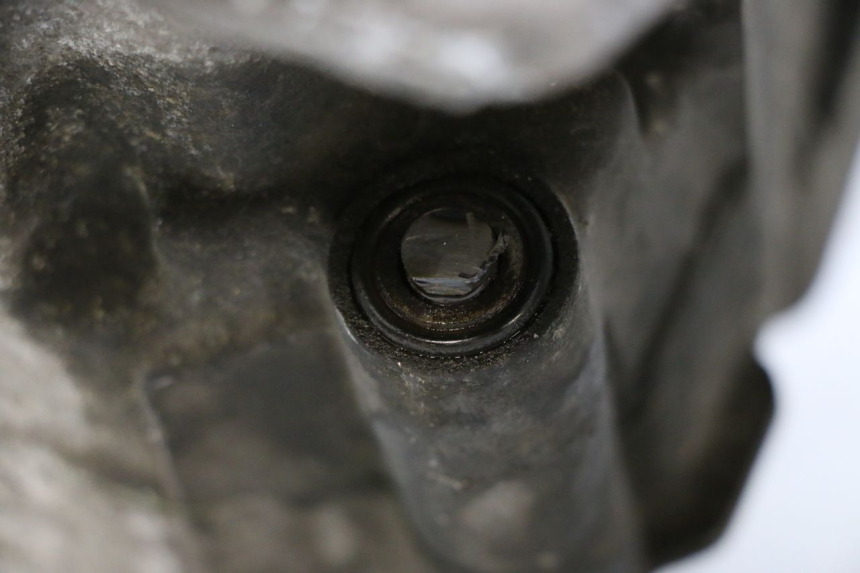 photo de MOTOR PIAGGIO MP3 HPE 350 (2018 - 2020) - Technische Nahaufnahme