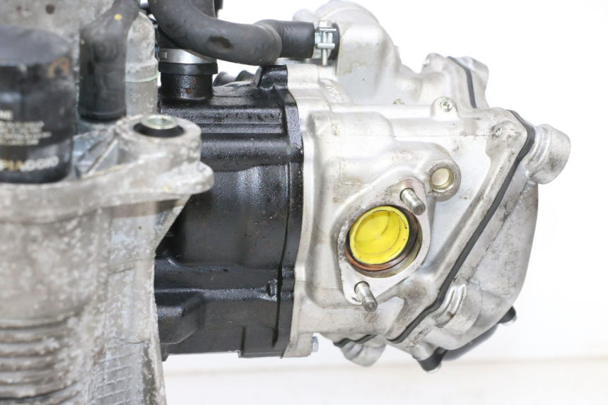 photo de MOTOR PIAGGIO MP3 HPE 300 (2019 - 2026) - Zoom auf Gebrauchszustand