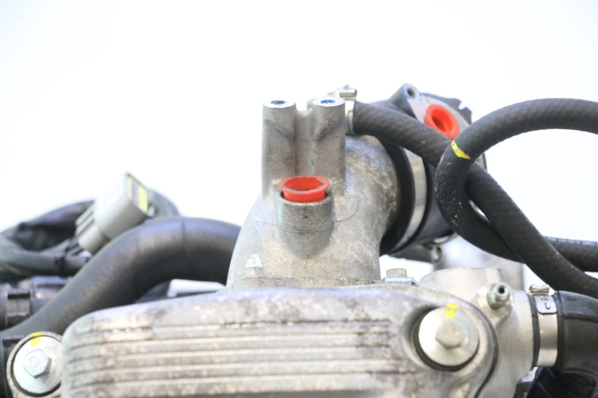 photo de MOTOR PIAGGIO MP3 HPE 530 (2022 - 2026) - Detaillierte Sichtprüfung