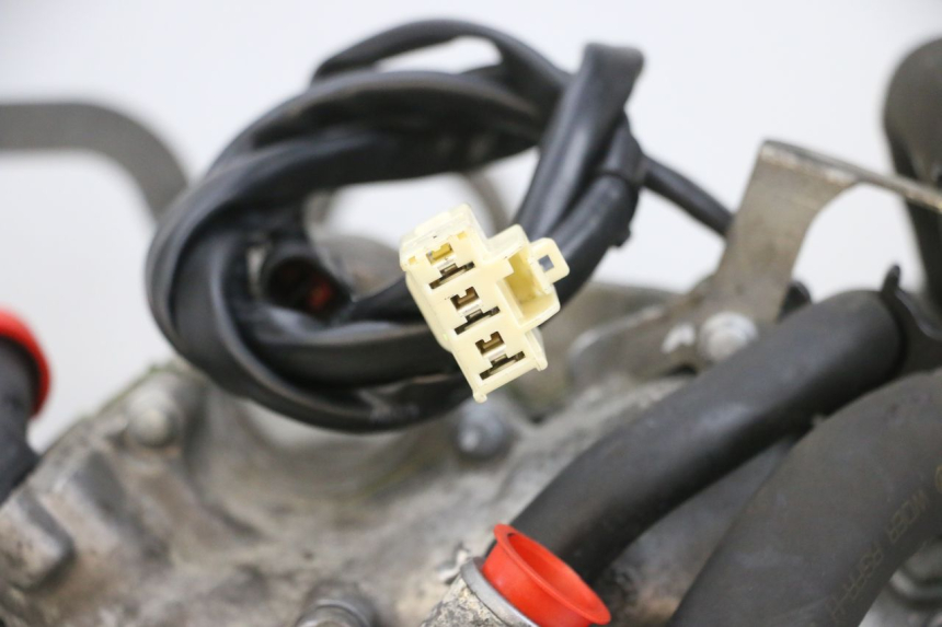 photo de MOTOR PIAGGIO MP3 500 (2016 - 2018) - Fokus auf die Struktur