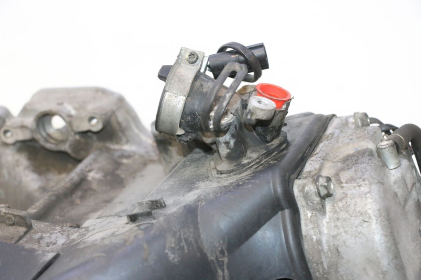 photo de MOTOR KYMCO LIKE 4T 50 (2019 - 2025) - Detailansicht des Bauteils
