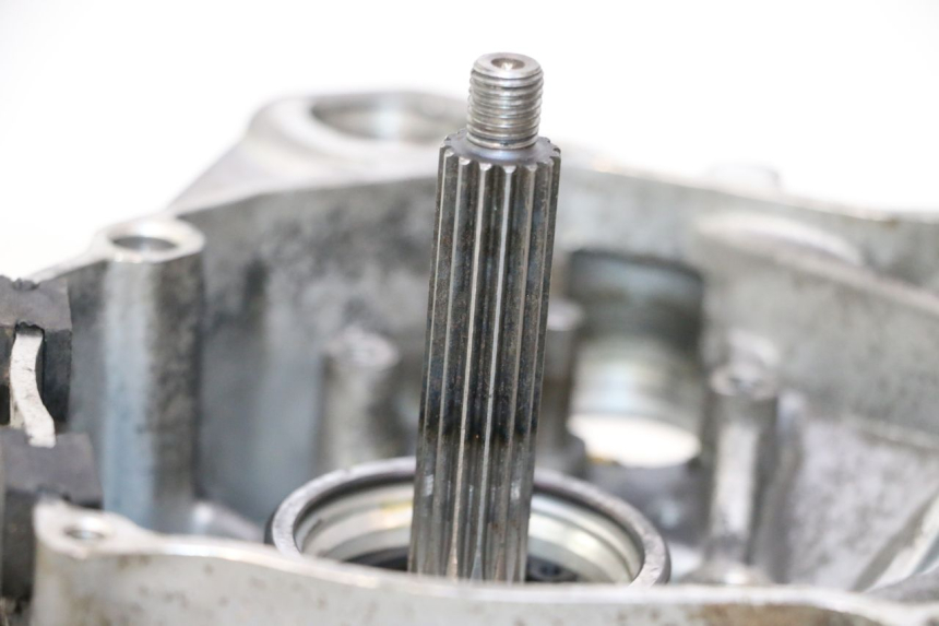 photo de MOTOR IMF INDUSTRIE NEW PACH 2T 50 (2014 - 2020) - Alternative Perspektive