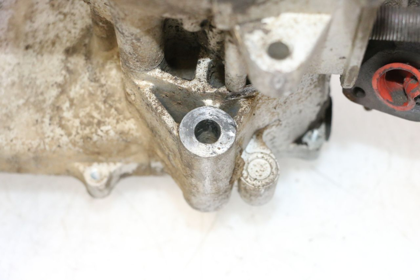 photo de MOTOR IMF INDUSTRIE NEW PACH 2T 50 (2014 - 2020) - Oberflächenzustand und Material