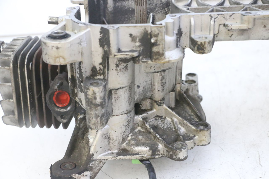 photo de MOTOR PIAGGIO NEW TYPHOON 50 (2018 - 2021) - Zoom auf Gebrauchszustand