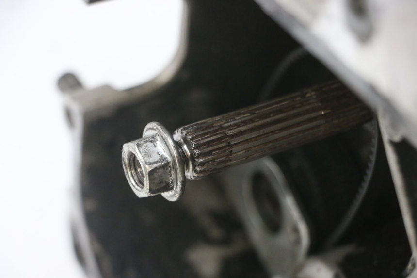 photo de MOTOR PIAGGIO NEW TYPHOON 50 (2018 - 2021) - Kennzeichnungen und Originalreferenzen