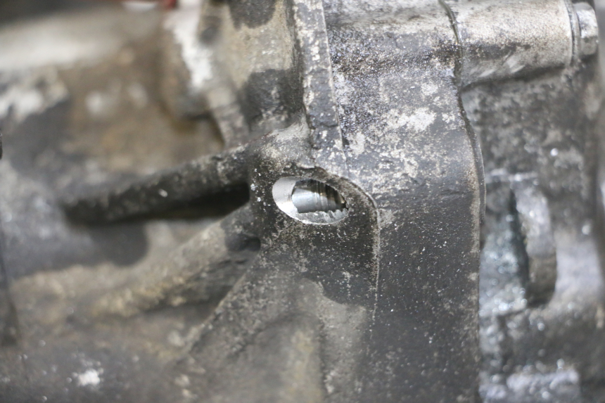 photo de MOTOR GILERA NEXUS 125 (2009 - 2013) - Oberflächenzustand und Material