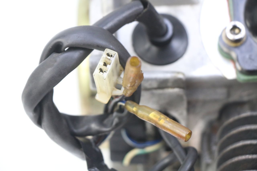 photo de MOTOR IMF INDUSTRIE PACH 2T 50 (2009 - 2018) - Hochauflösende Nahaufnahme