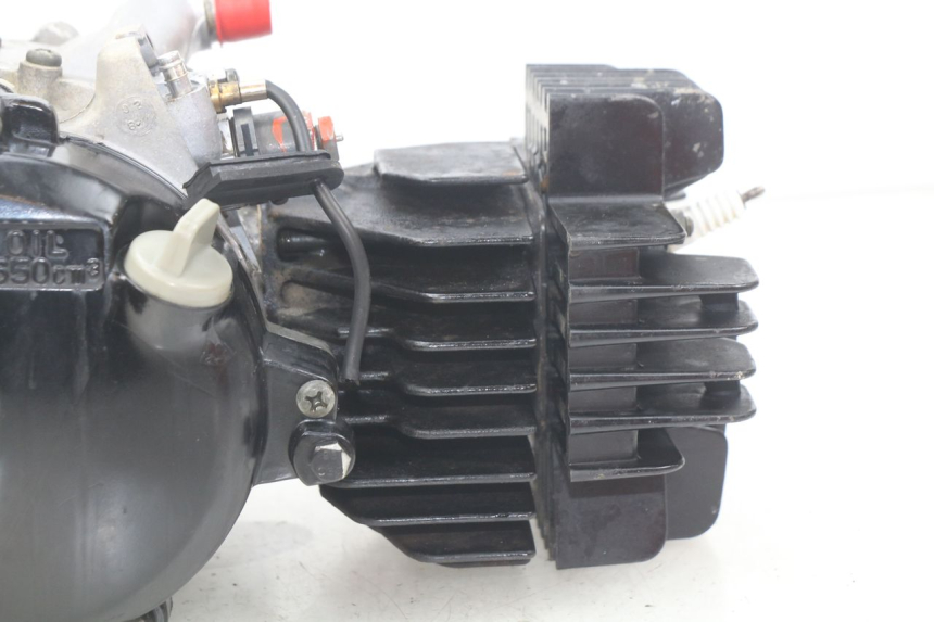 photo de MOTOR YAMAHA PW 80 (1983 - 2014) - Oberflächenzustand und Material