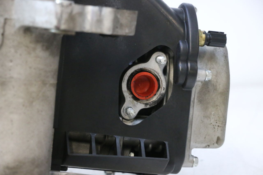 photo de MOTOR JM MOTORS R-MAX TECH 50 (2024 - 2026) - Alternative Perspektive