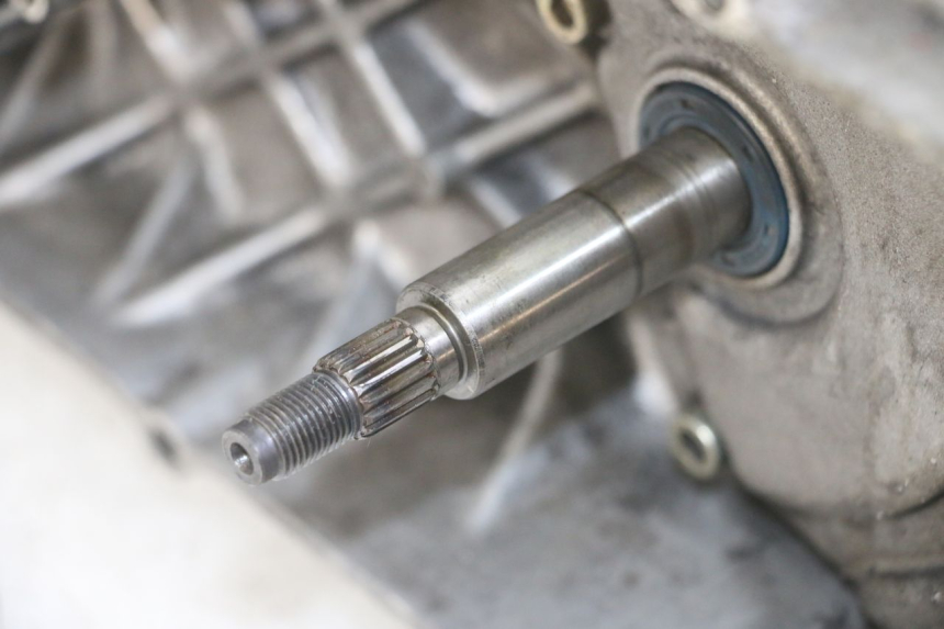 photo de MOTOR APRILIA RALLY AC 50 (1995 - 2004) - Kennzeichnungen und Originalreferenzen