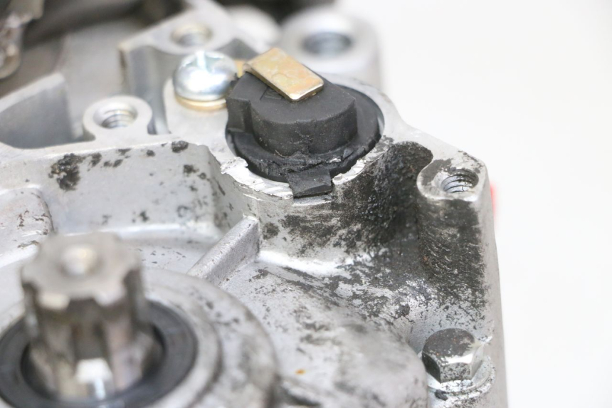 photo de MOTOR APOLLO RFZ 125 - Technische Nahaufnahme